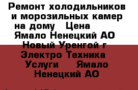 Ремонт холодильников и морозильных камер на дому › Цена ­ 500 - Ямало-Ненецкий АО, Новый Уренгой г. Электро-Техника » Услуги   . Ямало-Ненецкий АО